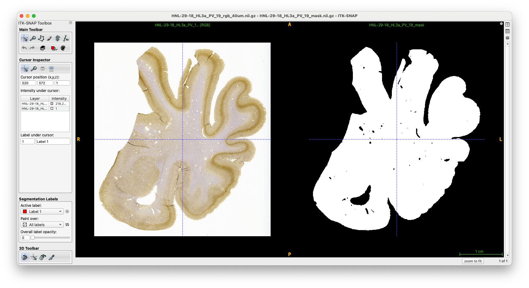 An example of a generated mask